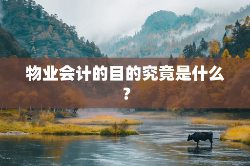 物业会计的目的究竟是什么？