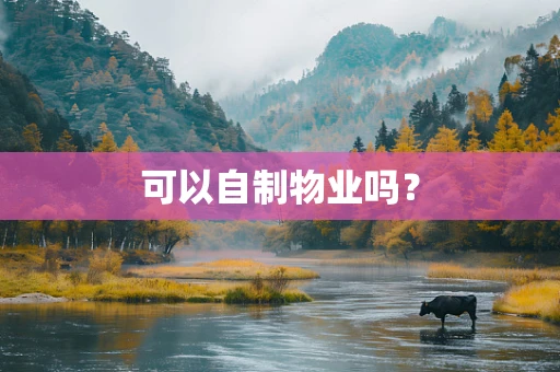 可以自制物业吗？