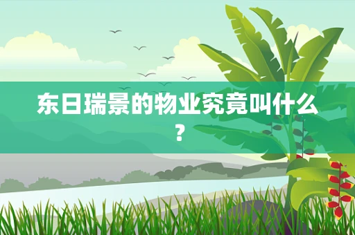 东日瑞景的物业究竟叫什么？