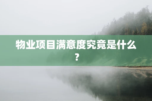 物业项目满意度究竟是什么？