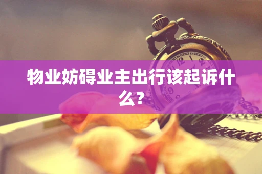 物业妨碍业主出行该起诉什么？