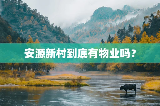 安源新村到底有物业吗？