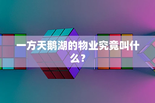 一方天鹅湖的物业究竟叫什么？