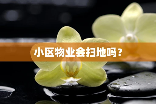 小区物业会扫地吗？