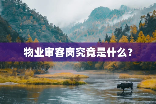 物业审客岗究竟是什么？
