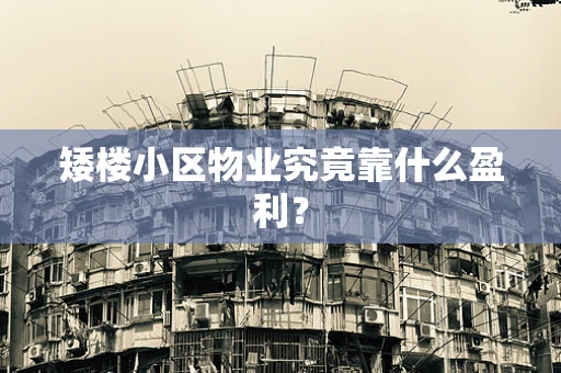 矮楼小区物业究竟靠什么盈利？