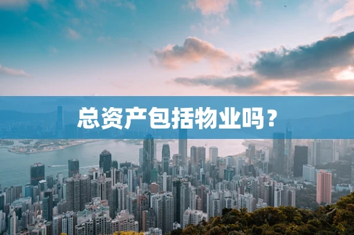 总资产包括物业吗？