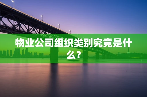 物业公司组织类别究竟是什么？