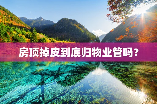 房顶掉皮到底归物业管吗？
