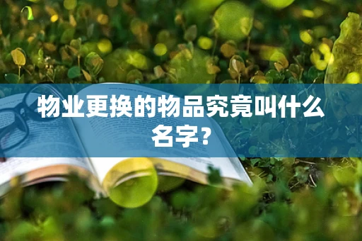 物业更换的物品究竟叫什么名字？