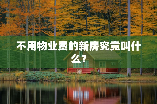 不用物业费的新房究竟叫什么？