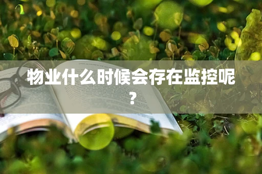 物业什么时候会存在监控呢？