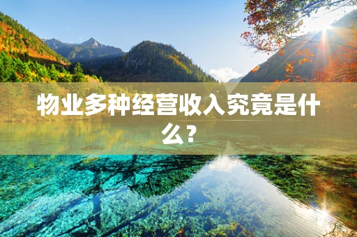 物业多种经营收入究竟是什么？