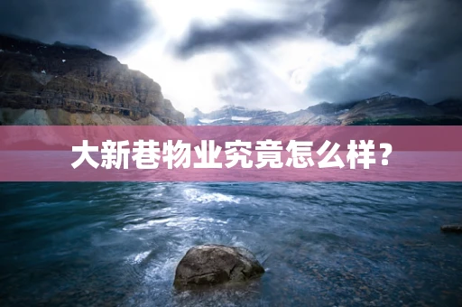 大新巷物业究竟怎么样？