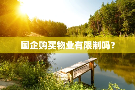 国企购买物业有限制吗？