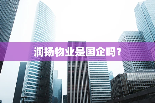 润扬物业是国企吗？