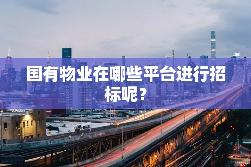 国有物业在哪些平台进行招标呢？