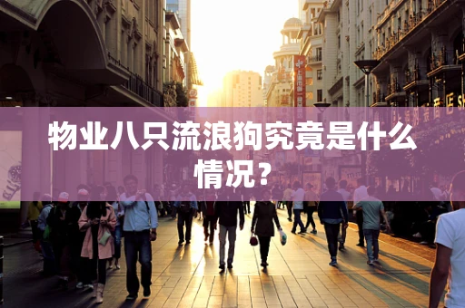 物业八只流浪狗究竟是什么情况？