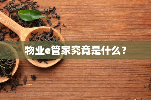 物业e管家究竟是什么？