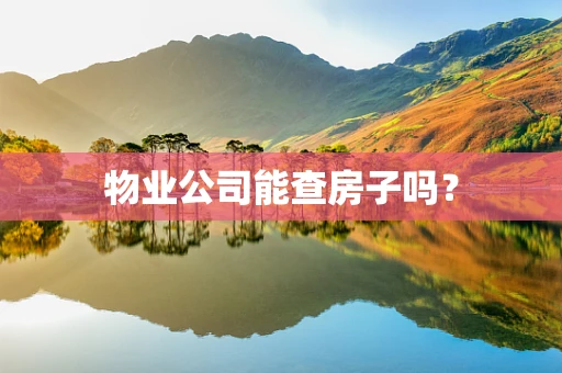 物业公司能查房子吗？