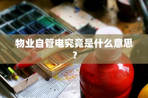 物业自管电究竟是什么意思？