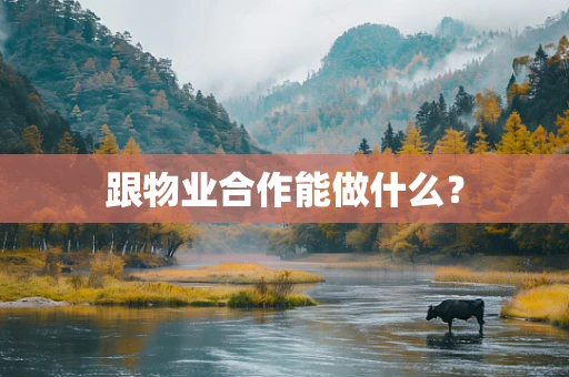 跟物业合作能做什么？