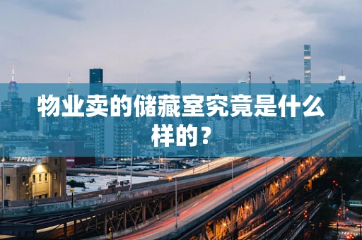 物业卖的储藏室究竟是什么样的？