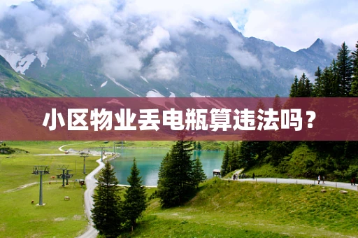 小区物业丢电瓶算违法吗？