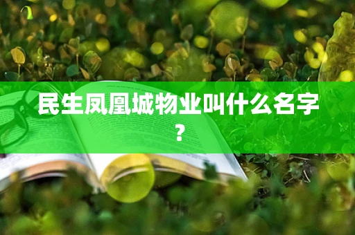 民生凤凰城物业叫什么名字？