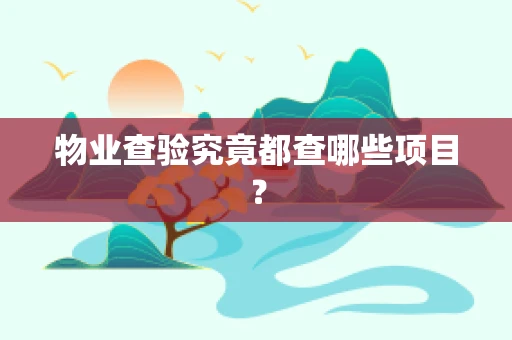 物业查验究竟都查哪些项目？