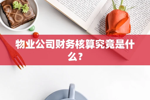 物业公司财务核算究竟是什么？