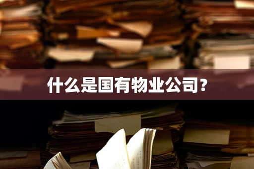 什么是国有物业公司？
