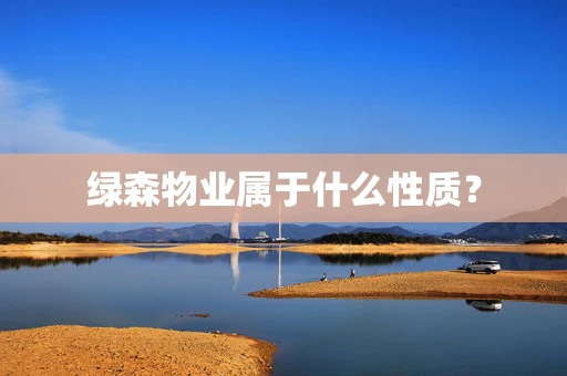 绿森物业属于什么性质？