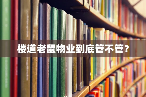 楼道老鼠物业到底管不管？