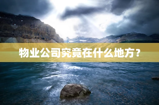 物业公司究竟在什么地方？