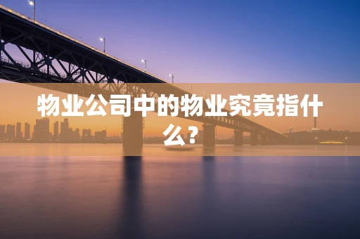 物业公司中的物业究竟指什么？