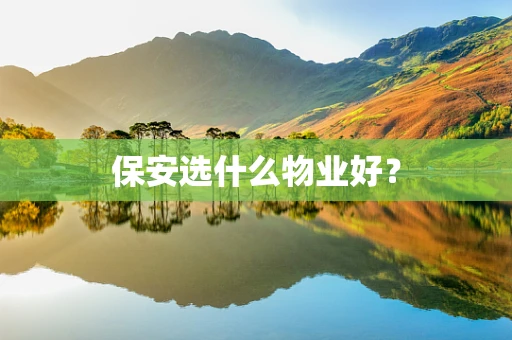 保安选什么物业好？