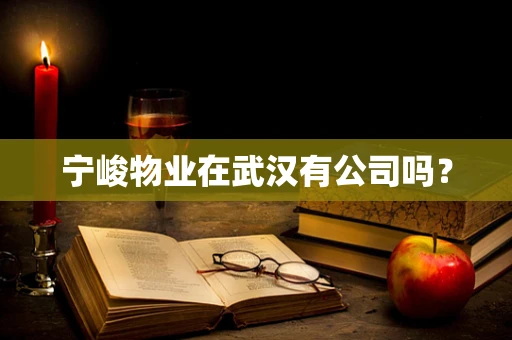 宁峻物业在武汉有公司吗？