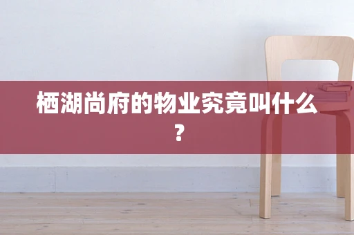 栖湖尚府的物业究竟叫什么？