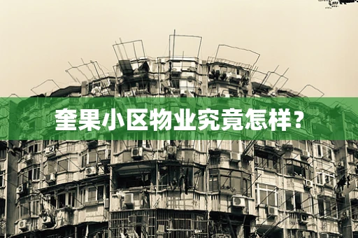 奎果小区物业究竟怎样？