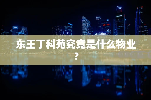 东王丁科苑究竟是什么物业？