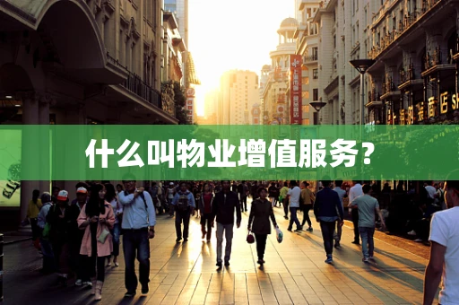 什么叫物业增值服务？