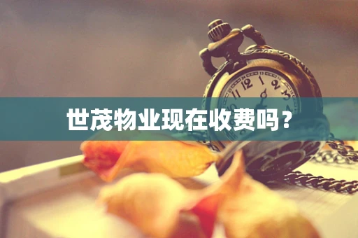 世茂物业现在收费吗？