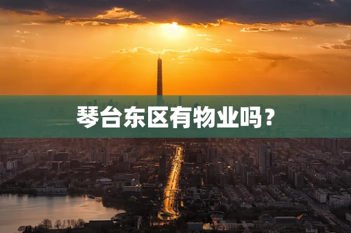 琴台东区有物业吗？