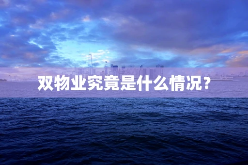 双物业究竟是什么情况？