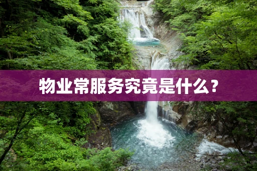 物业常服务究竟是什么？