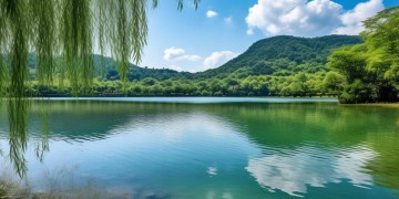 玉龙湖畔究竟属于什么物业管理？