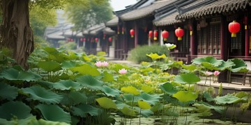 杭州莲花街物业会收费吗？