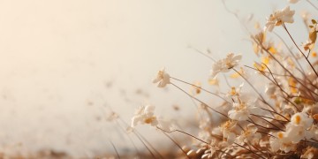 疫情期间少收物业费合理吗？