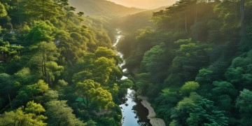 开封森林半岛究竟是什么物业？